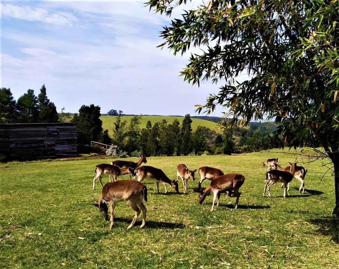 Green Hills Forest Lodge The Crags ภายนอก รูปภาพ