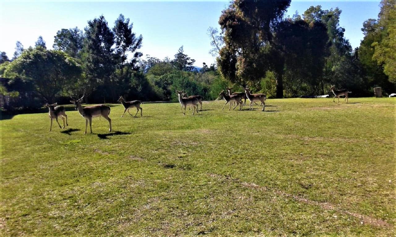 Green Hills Forest Lodge The Crags ภายนอก รูปภาพ