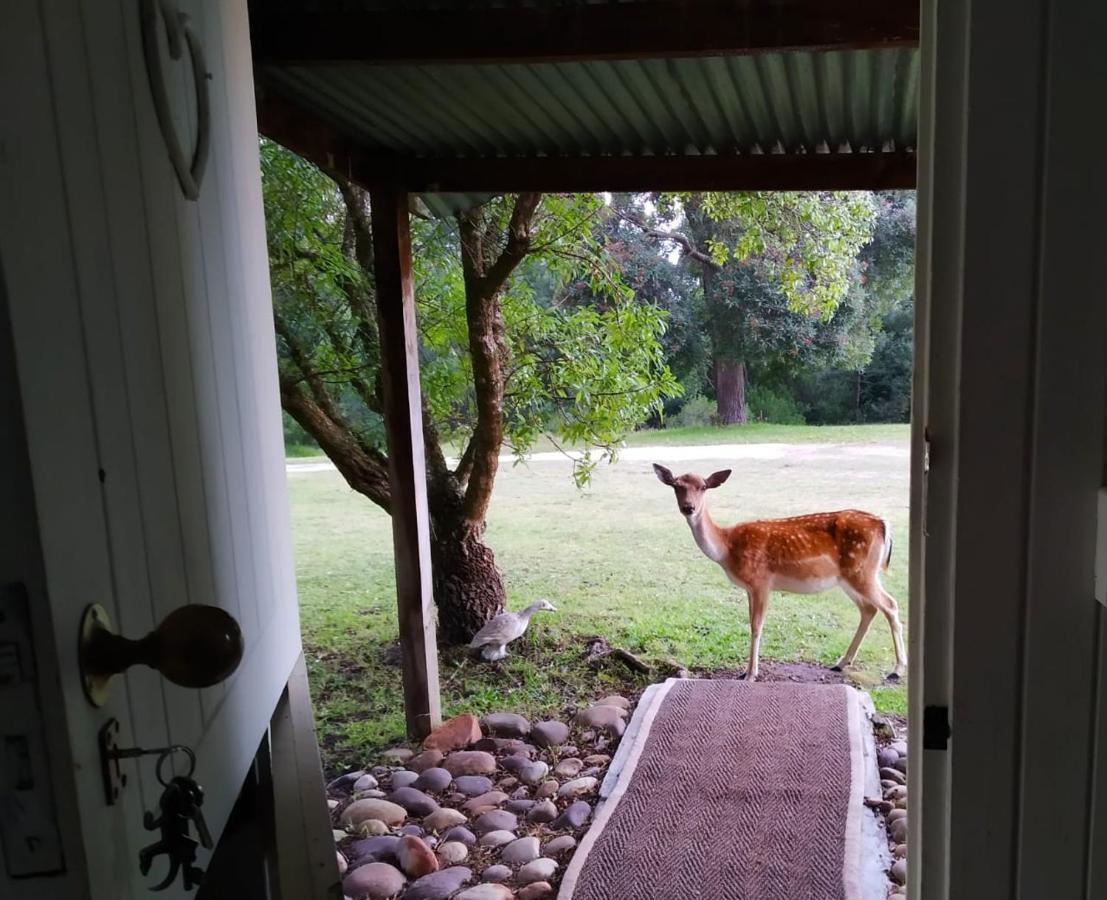 Green Hills Forest Lodge The Crags ภายนอก รูปภาพ