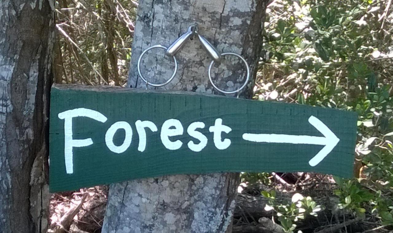 Green Hills Forest Lodge The Crags ภายนอก รูปภาพ